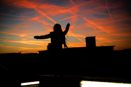 über den Dächern von Leipzig